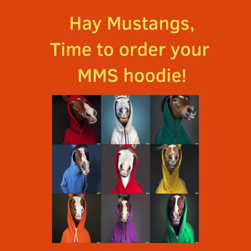  Horses in sweatshirts